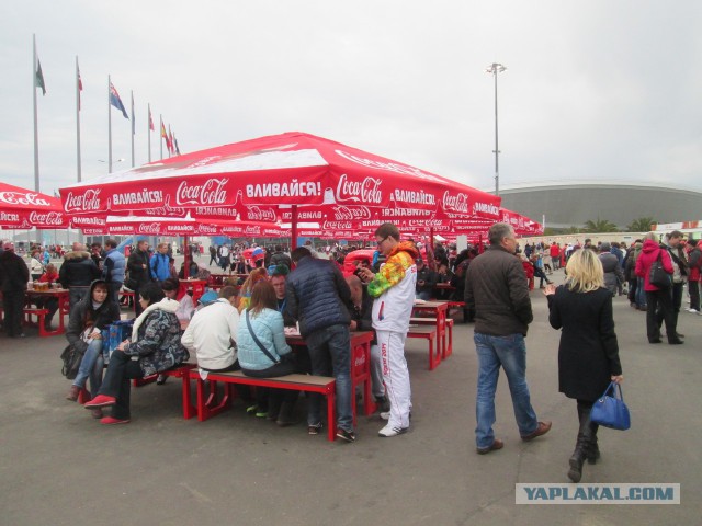 Как я ездил на кёрлинг