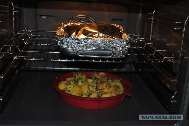 International одной книги., В память о Дженибеке.