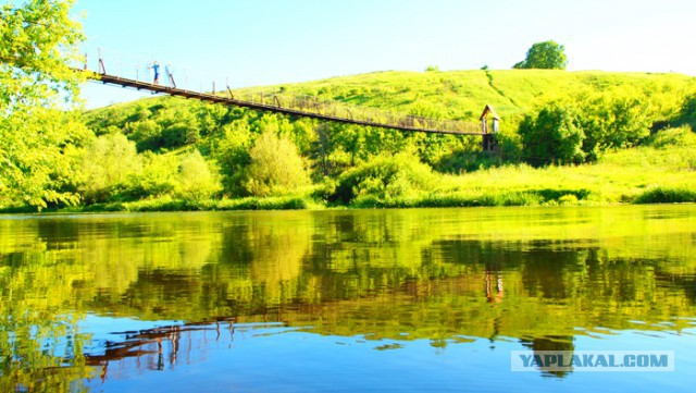 Рыбалка на Дону