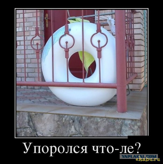Прикольные картинки на понедельник .