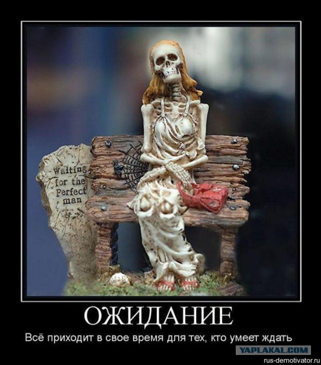 Когда вы плюсуeтe тему в платине