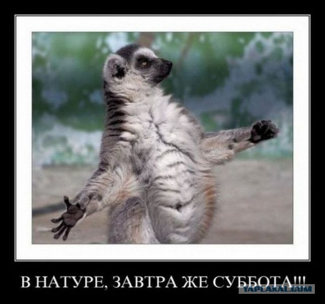 Чёрт, чёрт, чёрт!