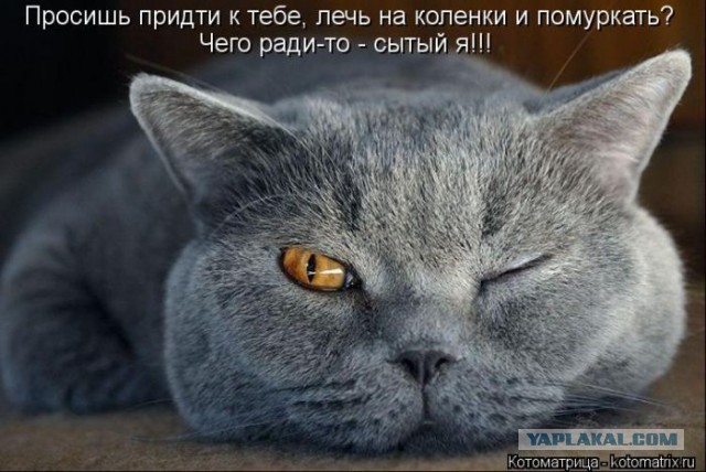 Крышу она ремонтировала