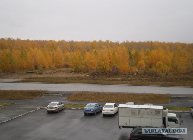 А что у Вас сейчас?