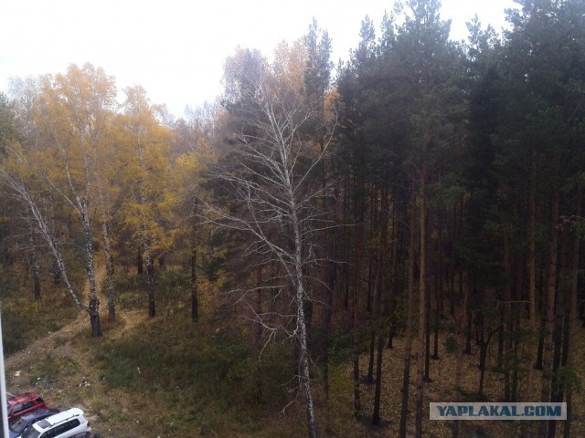 А что у Вас сейчас?