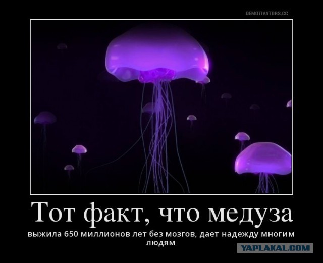 Странные странности мамаш  из сетей.