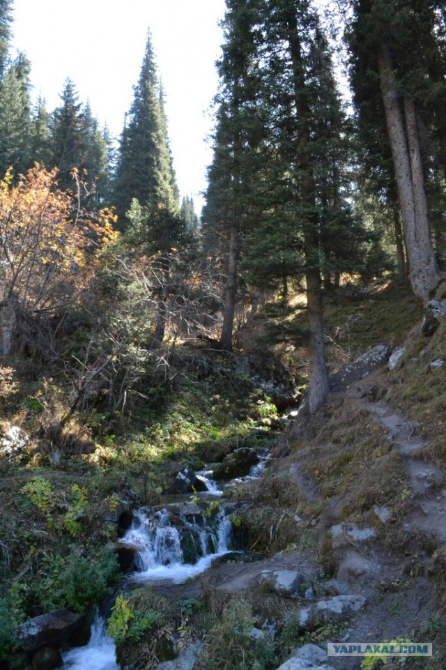 Деревенская Америка