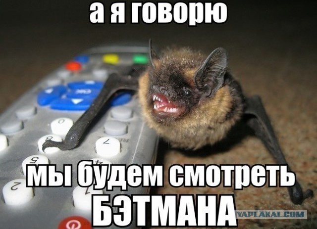 Просто висЮ тут. ПРИВЕТ! :))