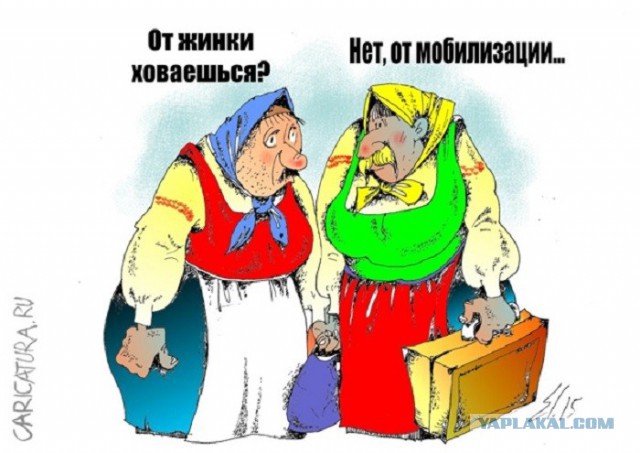 Уклонисты. Автомат держать, не «Молотова»