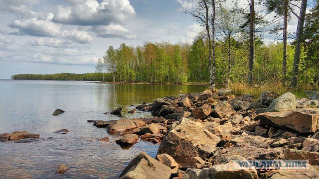Карелия. Сплав по реке Шуя.