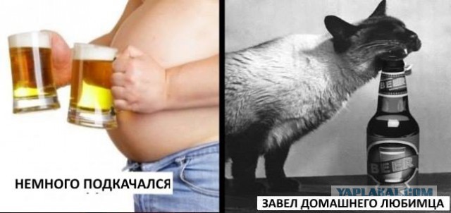 Как я провёл лето