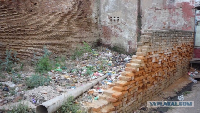 Индия, Индия, Индия ...