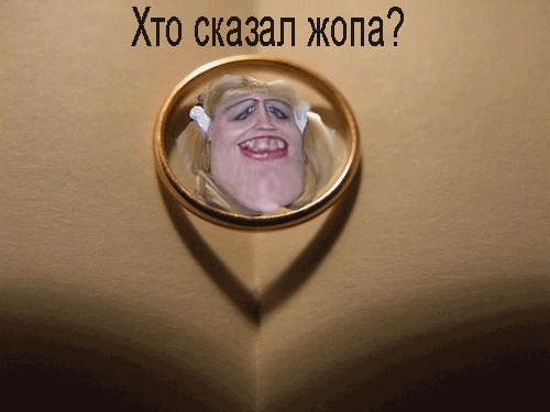 Свадьба, женихи и невесты
