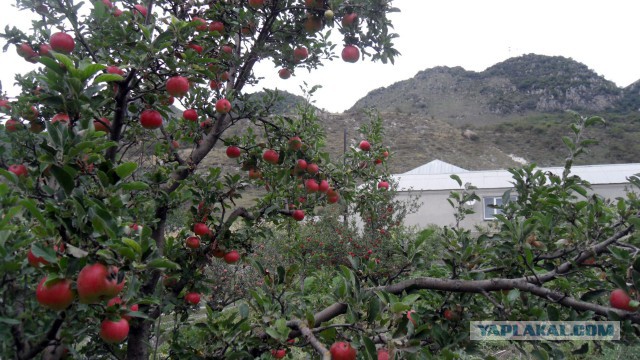 Северный Кавказ. Собственные снимки