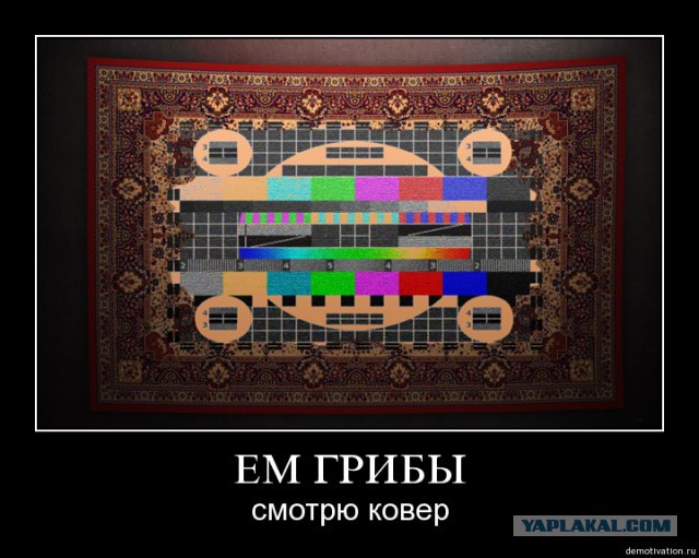 Загадка: найдите мобильный телефон на картинке
