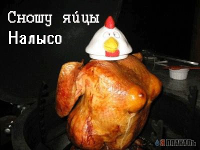 Эротичная Цыпа