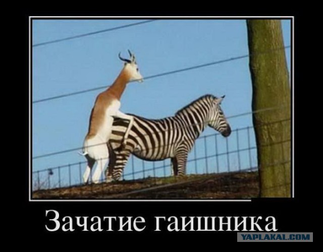 Зачатие ребенка за деньги