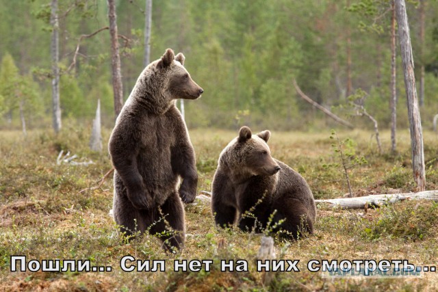 Модель Яна Гудкова подала в суд на своего американского любовника