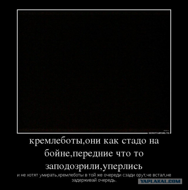 С 27 марта дальнобойщики прекратят поставки товаров по всей России
