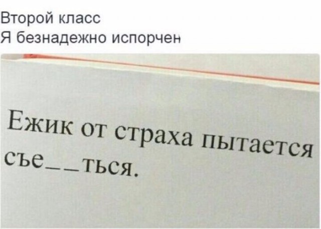 Подборка интересных и веселых картинок