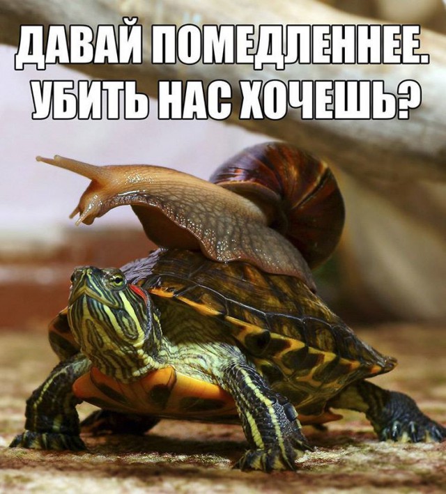Картинок всяких