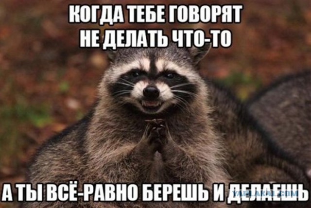 Картинки. Интересные, старые и не очень