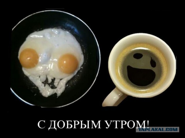 Картинки всякие для поднятия настроения