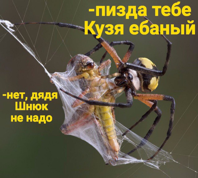 Трешак и вакханалия из соцсетей