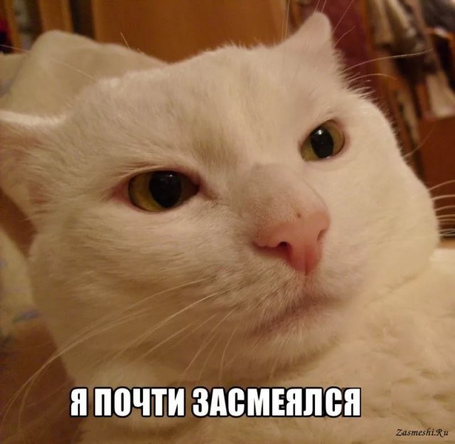 У ТП свои ПДД