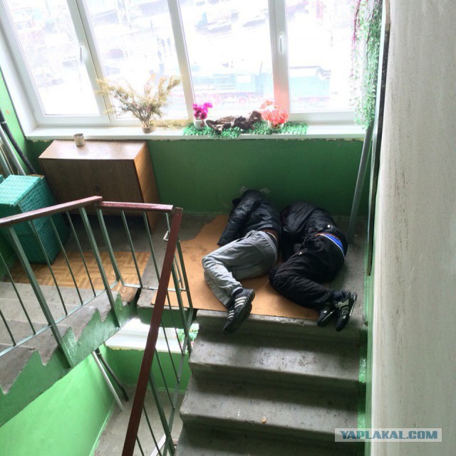 Блеск и крипота наших подъездов