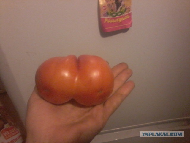 Вкус помидора