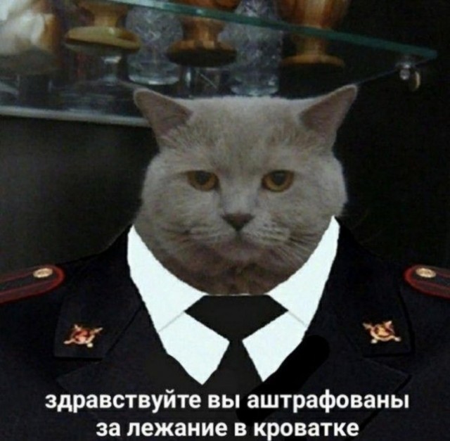 Немного картинок для настроения 25.10.19