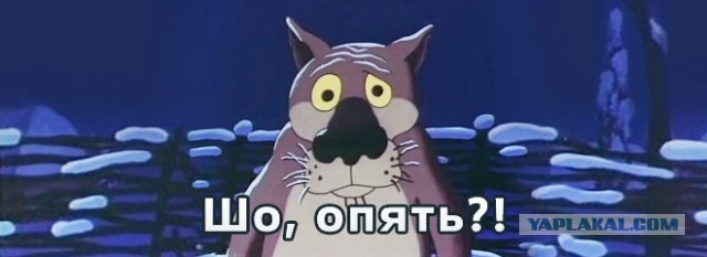 Россиянам запретят выбрасывать батарейки вместе с другими отходами