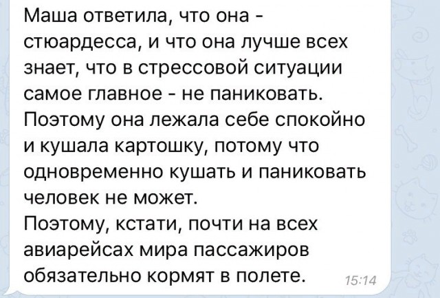 Свинегрет: картинки, надписи и прочее 06.02.20