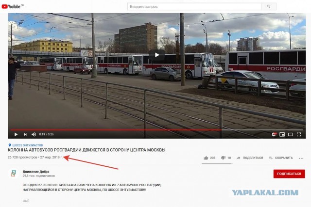 Глупо сидеть дома