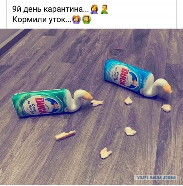 Немного всякого