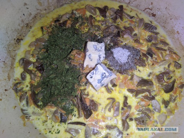 Лепешка, с грибами и сыром.