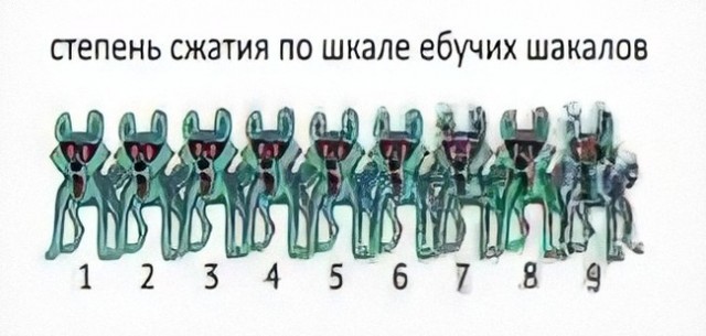Прикольные технологии