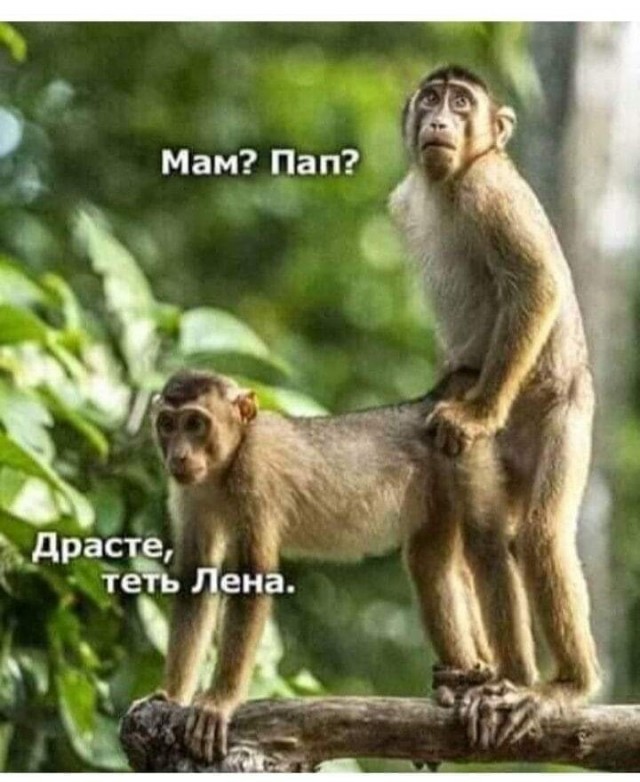 Интересное кино
