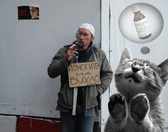 Помогите на бухло