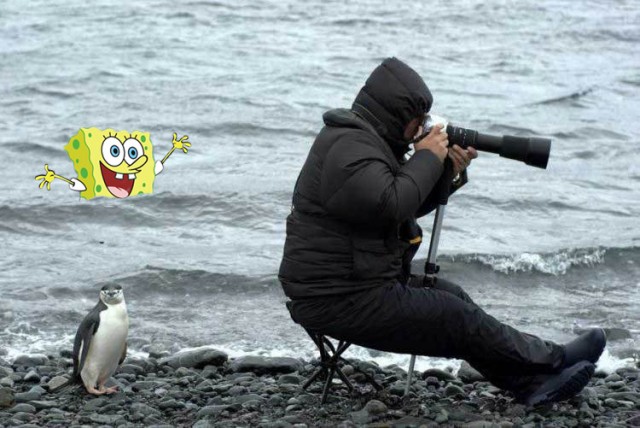 Внимательный фотограф