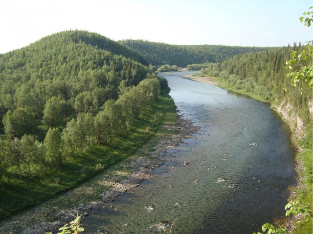 Где-то на Урале лес заменяет людям небо
