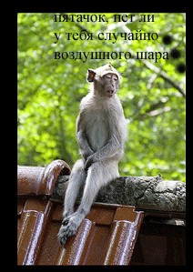 Один день из жизни монаха-отшельника.