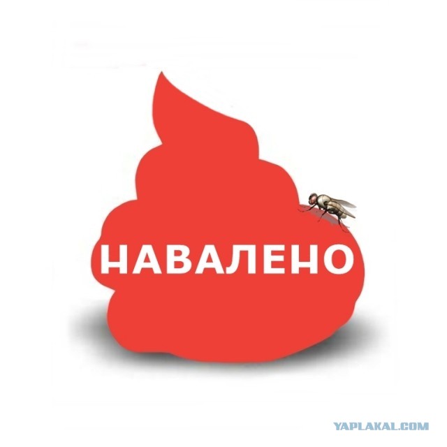 Медийность или власть?