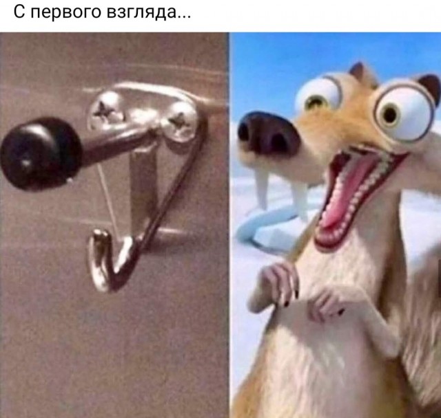 Бредзона 28.01.2021