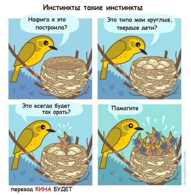 Дебилизмы из сети 03.02.21