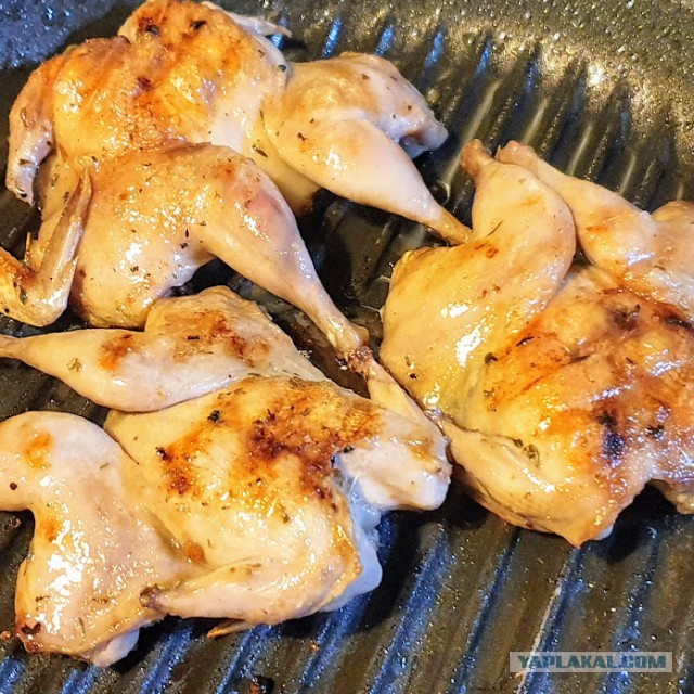 #ДРКулинарии2021 - Перепелки на гриле.