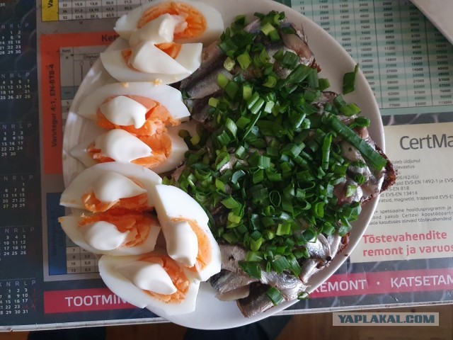 Килька: Селёдка, ставшая культовой в СССР. Её ловят по 600 тысяч тонн в год, а она не кончается. Как так?