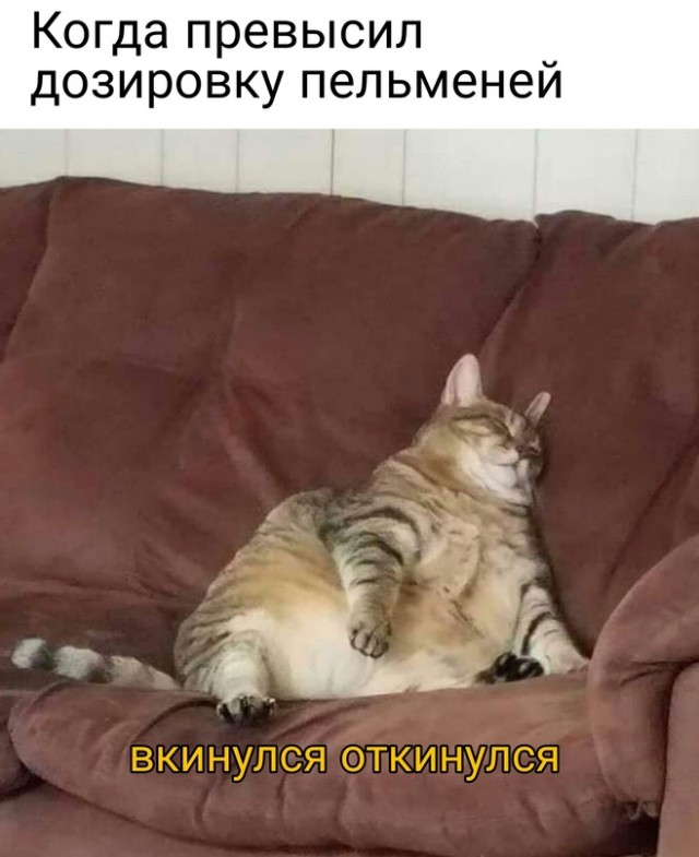 Весёлый полтишок 26.04