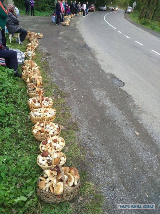 Ни дня без запретов